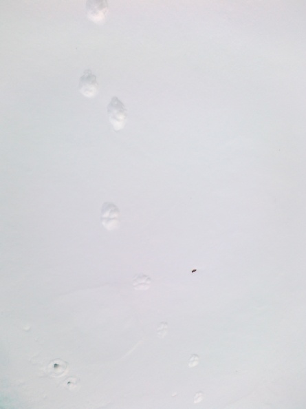 12022012438.jpg
