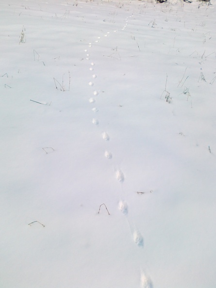 12022012449.jpg