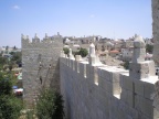 palestina-2011